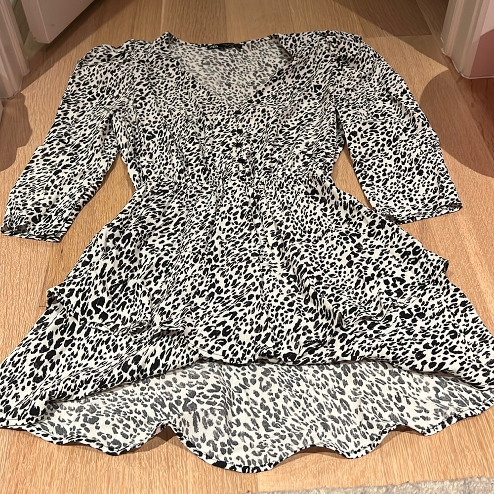 Zara Animal Print Dress